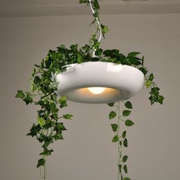 Retro Industrial Style Plant Restaurant Creative Balcony Planting Chandelier